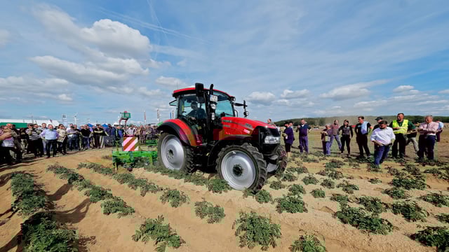 PotatoEurope to return to Germany in 2026