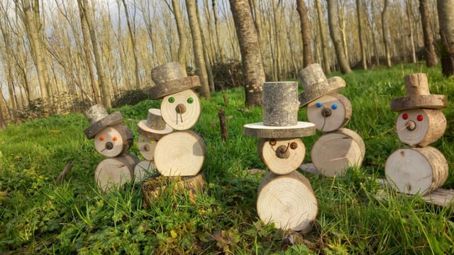 Deadline for forest photography competition extended