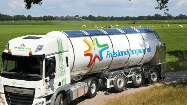 FrieslandCampina reports 20% increase in first half operating profit