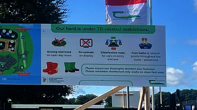 Kenny: TB in Moorepark shows 'nobody is immune'