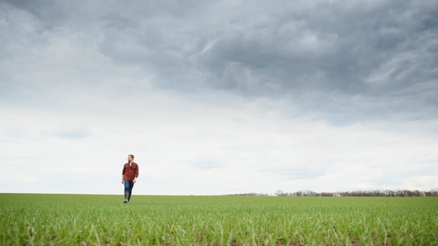 Govt urged to 'save the industry' and put more support in place for farmers