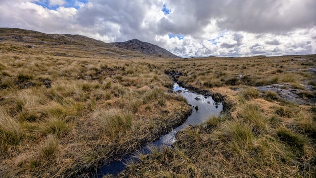 Heydon: 'Impactful measures' on water quality being developed for next NAP