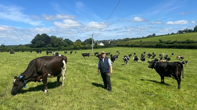 Listen: Kildare farmer tweaks grazing platform to achieve 500kg MS/cow
