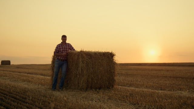 Farm income volatility and succession problems 'inextricably linked'