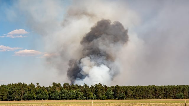 DAFM issues condition red extreme forest fire risk warning