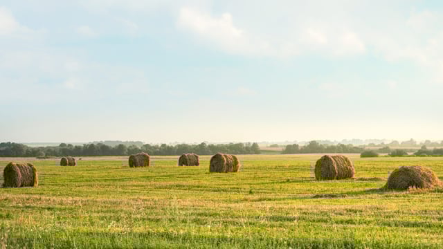 What are the proposed new rural planning permission exemptions?