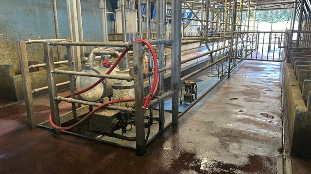 Controlling thermoduric and total bacteria counts this summer