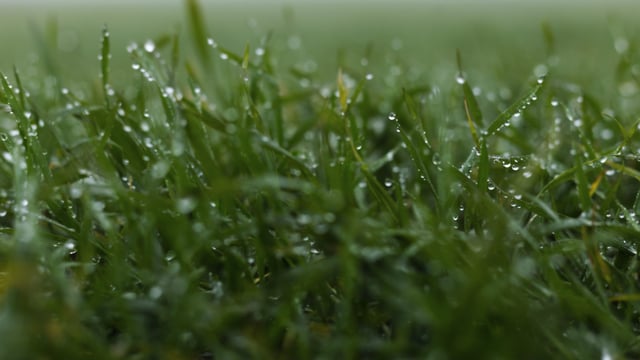Met Éireann: Status Orange rain warning for eastern counties