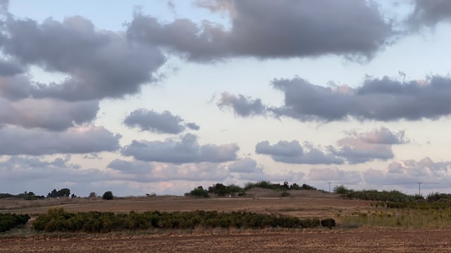 TD tells Dáil that ACRES farmer got 'just €300 when he was due €5,000' in July