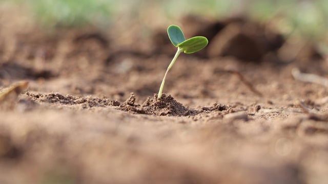EU-China project offers farmers digital tools to assess soil health