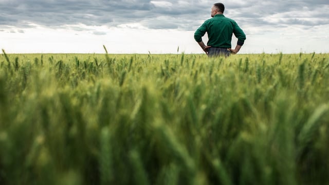 Study: Farmers feel 'shut out' from climate action