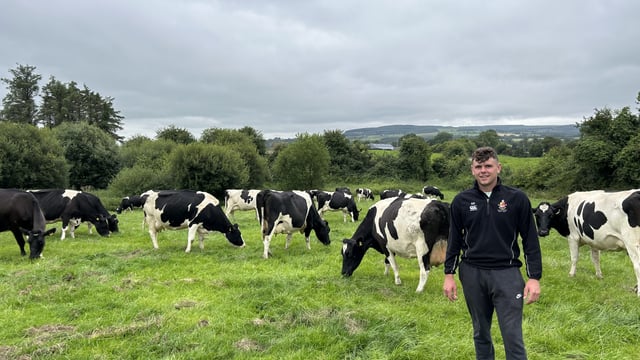 Listen: Producing 530kg MS/cow with pure Friesian breeding in Tipperary