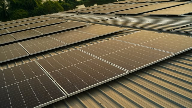 More farmers in Co. Cork get solar grants under TAMS 3 compared to any other county