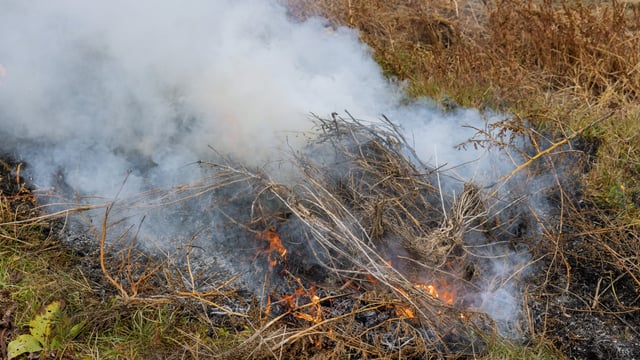 Hill farmers urged to consider 'other means of control' rather than burning