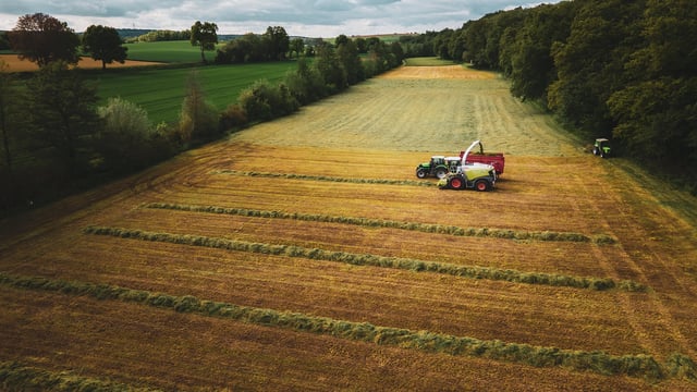Dairy advice: Time for a winter fodder budget