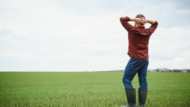 Taoiseach: 'We are not failing farmers'