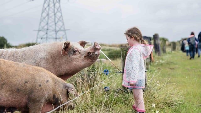 Going from dairy to diversity on Cork's Glenbrook Farm