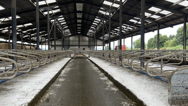 What to consider when putting up a new cubicle shed this autumn