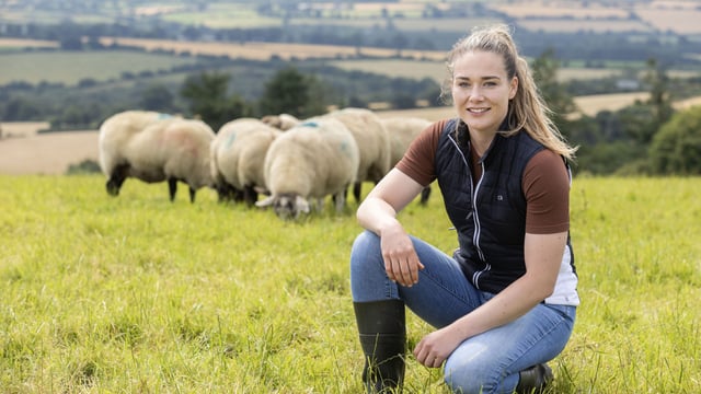 Watch: Controlling lameness on a Wicklow mixed enterprise farm
