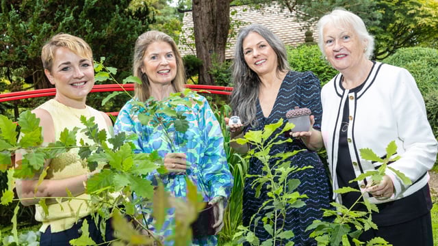 ACORNS to represent Ireland at European enterprise awards