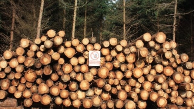 How should harvested timber stacks be estimated?