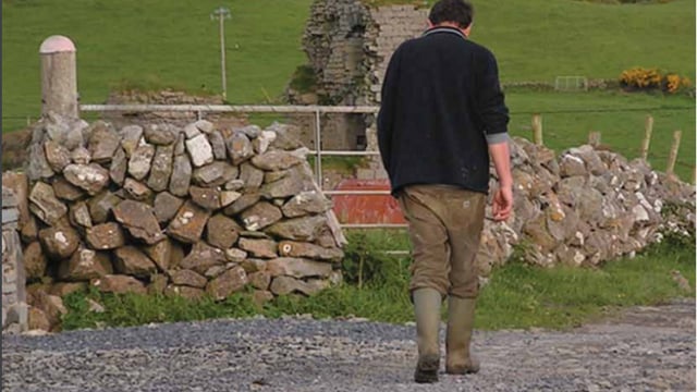 Gender equality project seeks rural men and male farmers