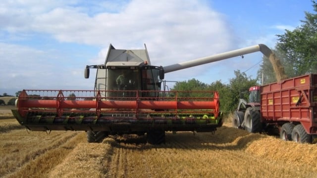 Organic growers urged to consider home-saved seed
