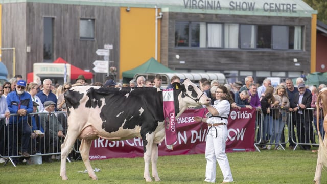 Dairy breeding elite set for Cavan as Baileys Champion Cow returns
