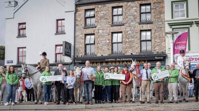 Connemara Pony Show to celebrate 100th annual show in Clifden