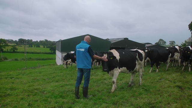 Paperwork pressure tops Irish farmers’ concerns