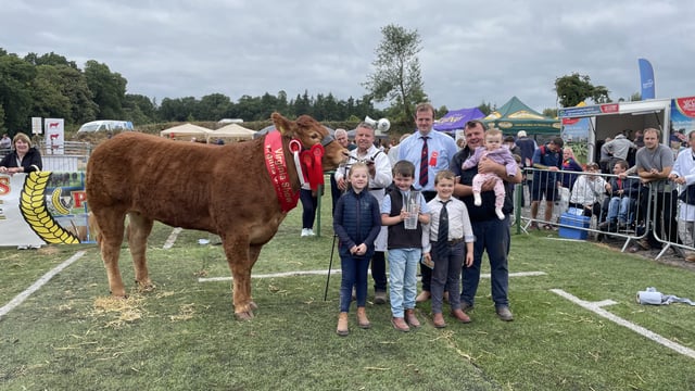 Video: Winners from Virginia Show beef-breed classes
