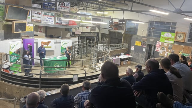 Winter housing tips for suckler herds highlighted at mart events