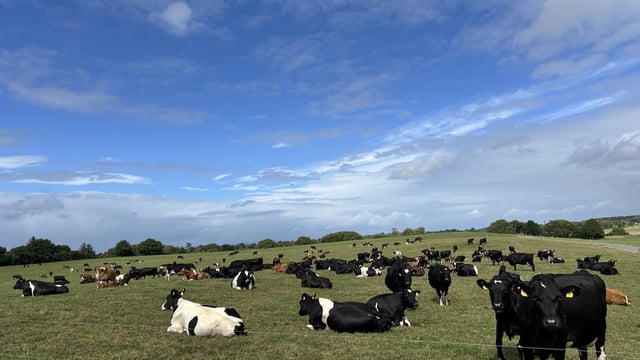 Dairy Focus: Investing in the farm for the next generation in Co. Tipperary