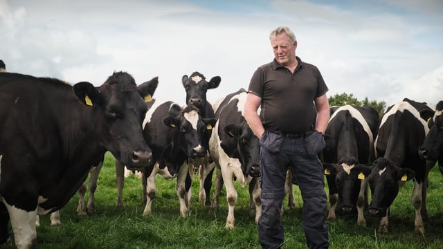 ICMSA urges farmers to be 'bluetongue alert' over coming weeks
