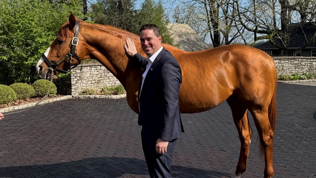 Minister launches new booklet on horse traceability