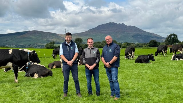 Highlighting the benefits of a new approach to dairy cow health