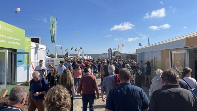 SEEFA to host forestry hub at Ploughing Championships