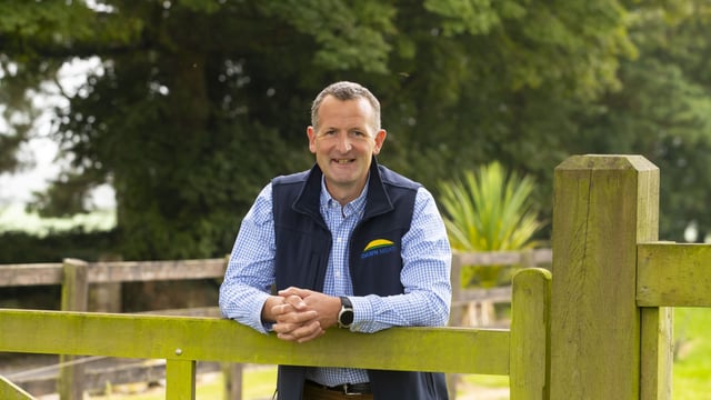 Dawn Meats seeks majority share of NZ's largest lamb processor