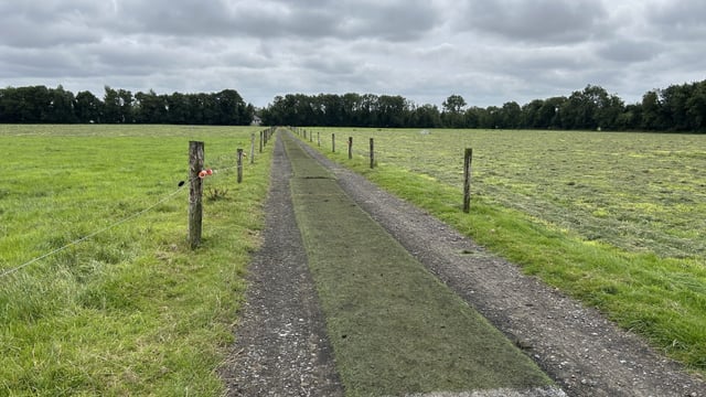 Ensuring roadways are in good condition to reduce lameness