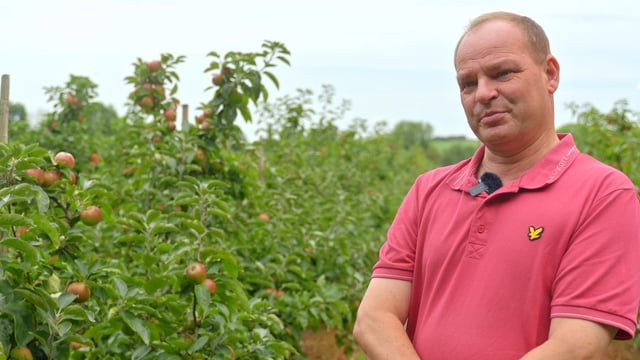Cider and crisps made in Cahir: the juice is worth the squeeze at Con's apple farm
