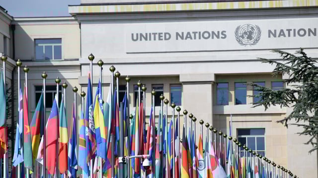 Ireland elected to council of UN Food and Agriculture Organisation