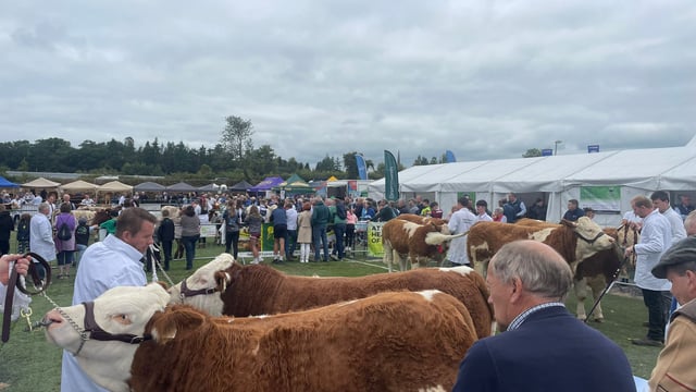 82nd annual Virginia Show kicks off in Cavan