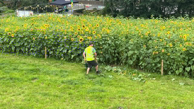 West Cork farmers fundraise by bringing Leap into bloom