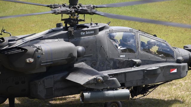 Cow euthanized following 'military helicopter exercise' in Netherlands