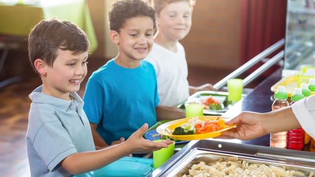 Hot meals scheme 'discriminates' against small rural schools - TD