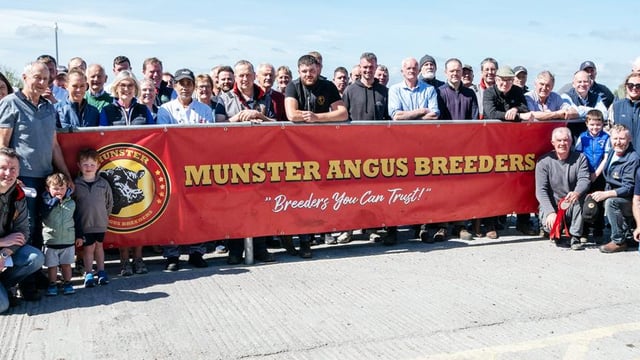 Munster Angus Breeders forms new company limited by guarantee