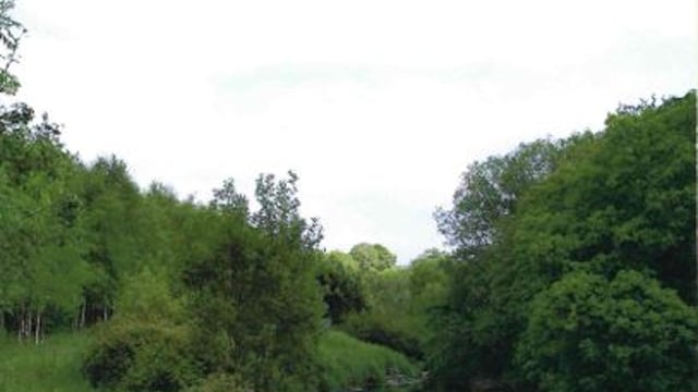 Series of meetings aim to engage farmers in reversing woodland decline