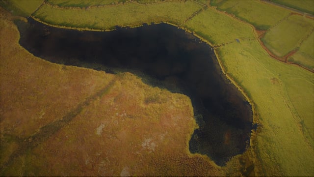 NPWS commissions survey to confirm number of turloughs