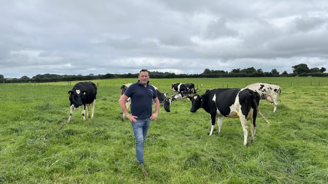 Listen: Breeding cows for high grass intake, capacity &amp; depth