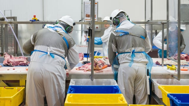 'Further consolidation in the meat-processing sector is likely' - AHDB